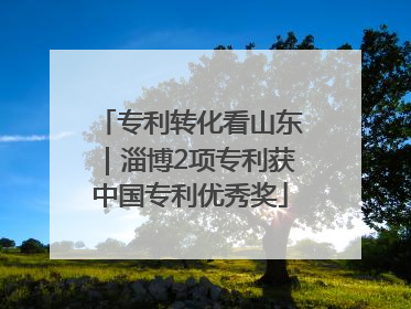 专利转化看山东｜淄博2项专利获中国专利优秀奖
