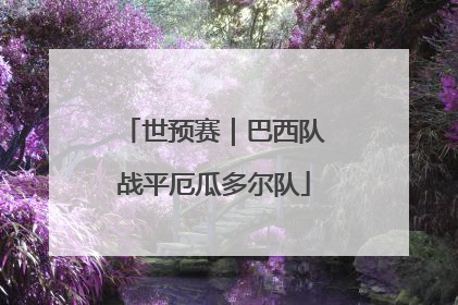 世预赛｜巴西队战平厄瓜多尔队