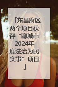 东昌府区两个项目获评“聊城市2024年度法治为民实事”项目