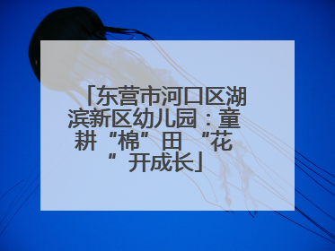 东营市河口区湖滨新区幼儿园：童耕“棉”田 “花”开成长