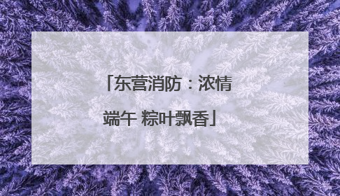 东营消防：浓情端午 粽叶飘香