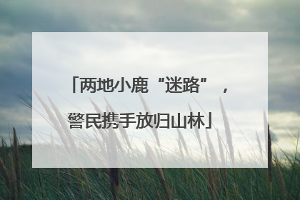 两地小鹿“迷路”，警民携手放归山林