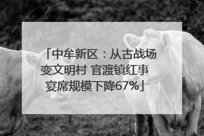 中牟新区：从古战场变文明村 官渡镇红事宴席规模下降67%
