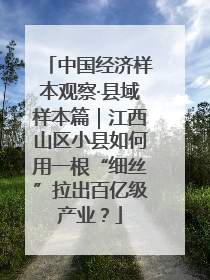 中国经济样本观察·县域样本篇｜江西山区小县如何用一根“细丝”拉出百亿级产业？
