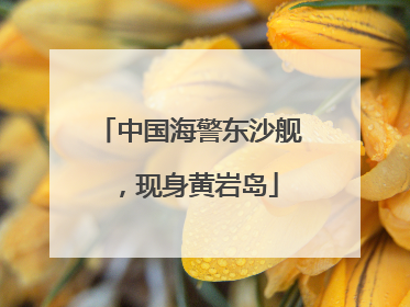 中国海警东沙舰，现身黄岩岛