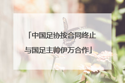 中国足协按合同终止与国足主帅伊万合作