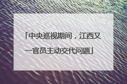 中央巡视期间，江西又一官员主动交代问题