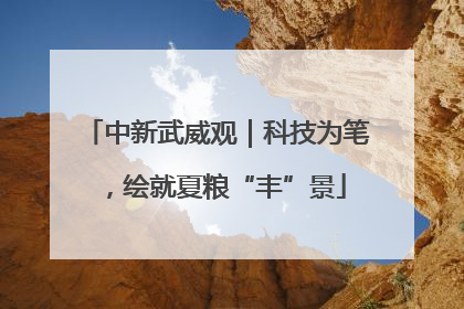中新武威观｜科技为笔，绘就夏粮“丰”景