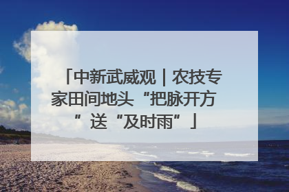 中新武威观｜农技专家田间地头“把脉开方”送“及时雨”