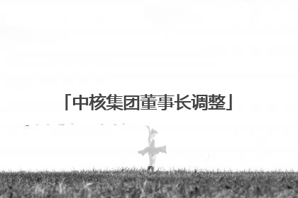 中核集团董事长调整