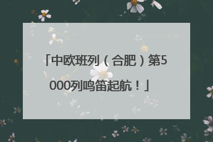 中欧班列（合肥）第5000列鸣笛起航！