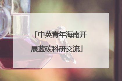 中英青年海南开展蓝碳科研交流