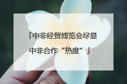 中非经贸博览会尽显中非合作“热度”