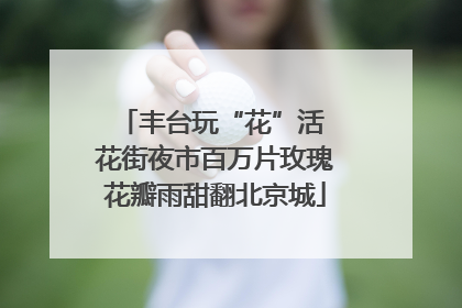 丰台玩“花”活 花街夜市百万片玫瑰花瓣雨甜翻北京城