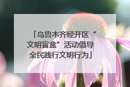 乌鲁木齐经开区“文明盲盒”活动倡导全民践行文明行为