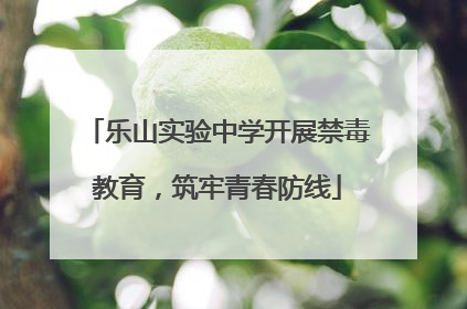 乐山实验中学开展禁毒教育，筑牢青春防线