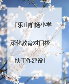 乐山柏杨小学深化教育对口帮扶工作建设