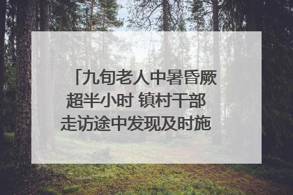 九旬老人中暑昏厥超半小时 镇村干部走访途中发现及时施救｜看见正能量