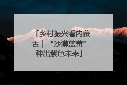 乡村振兴看内蒙古｜“沙漠蓝莓”种出紫色未来
