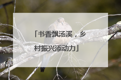 书香飘汤溪，乡村振兴添动力