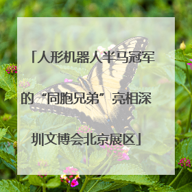 人形机器人半马冠军的“同胞兄弟”亮相深圳文博会北京展区