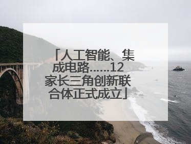 人工智能、集成电路……12家长三角创新联合体正式成立