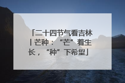 二十四节气看吉林丨芒种：“芒”着生长，“种”下希望
