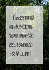 云霄县委县政府主要领导调研党建引领国企改革工作