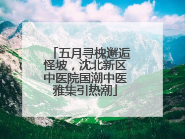 五月寻槐邂逅怪坡，沈北新区中医院国潮中医雅集引热潮