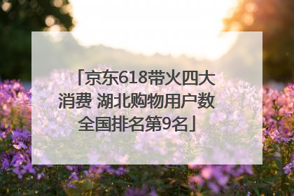 京东618带火四大消费 湖北购物用户数全国排名第9名