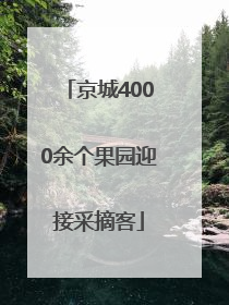 京城4000余个果园迎接采摘客