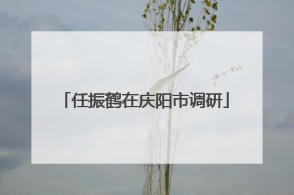 任振鹤在庆阳市调研