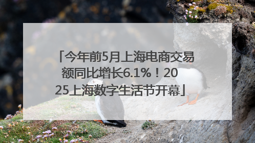 今年前5月上海电商交易额同比增长6.1%！2025上海数字生活节开幕