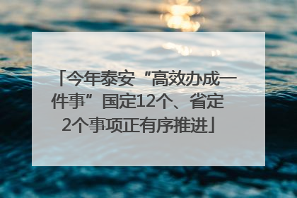 今年泰安“高效办成一件事”国定12个、省定2个事项正有序推进