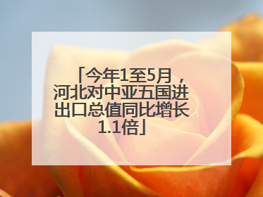 今年1至5月，河北对中亚五国进出口总值同比增长1.1倍
