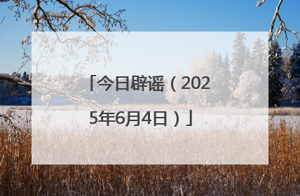 今日辟谣（2025年6月4日）