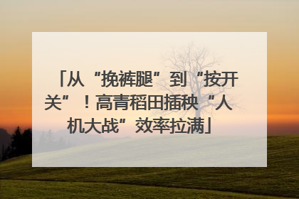 从“挽裤腿”到“按开关”！高青稻田插秧“人机大战”效率拉满