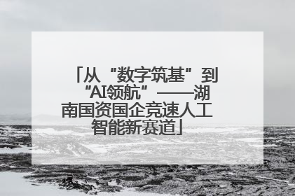 从“数字筑基”到“AI领航”——湖南国资国企竞速人工智能新赛道