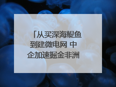 从买深海鳀鱼到建微电网 中企加速掘金非洲现代化｜直击中非经贸博览会
