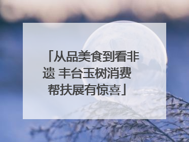 从品美食到看非遗 丰台玉树消费帮扶展有惊喜