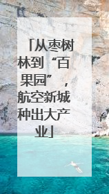 从枣树林到“百果园”，航空新城种出大产业