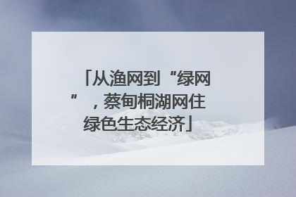 从渔网到“绿网”，蔡甸桐湖网住绿色生态经济