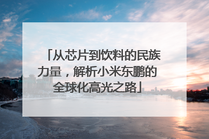 从芯片到饮料的民族力量，解析小米东鹏的全球化高光之路
