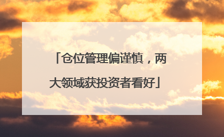 仓位管理偏谨慎，两大领域获投资者看好