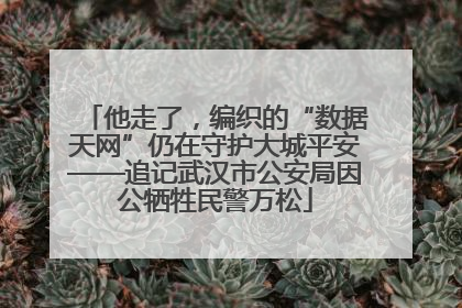 他走了，编织的“数据天网”仍在守护大城平安——追记武汉市公安局因公牺牲民警万松
