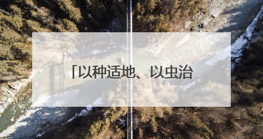以种适地、以虫治虫……科技赋能“三夏” “智慧种地”绘就好“丰”景