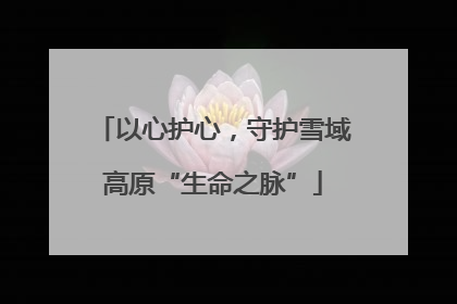 以心护心，守护雪域高原“生命之脉”