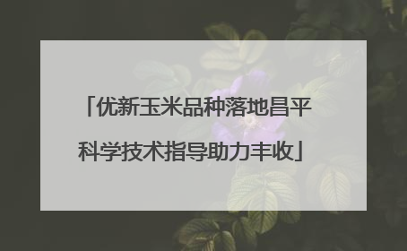 优新玉米品种落地昌平 科学技术指导助力丰收