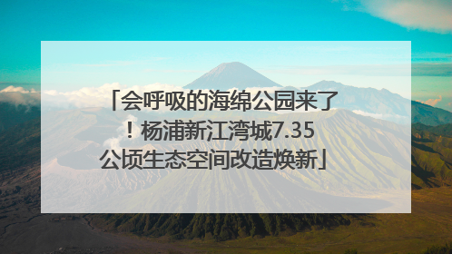 会呼吸的海绵公园来了！杨浦新江湾城7.35公顷生态空间改造焕新