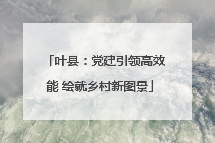 叶县：党建引领高效能 绘就乡村新图景